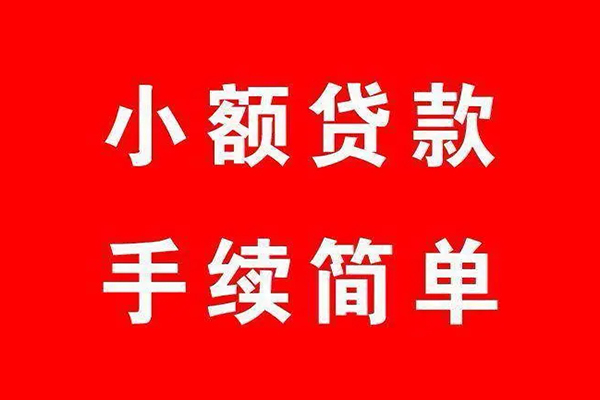 成都29小额短借